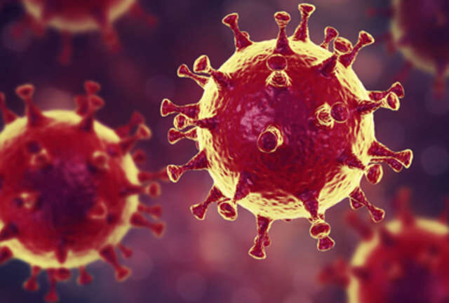 Wie sich das Coronavirus in Deutschland ausbreitet