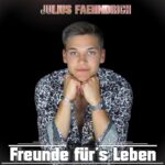 Cover_FreundefürsLeben_Julius Faehndrich