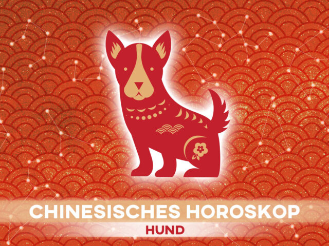 Chinesisches Horoskop für das Sternzeichen Hund