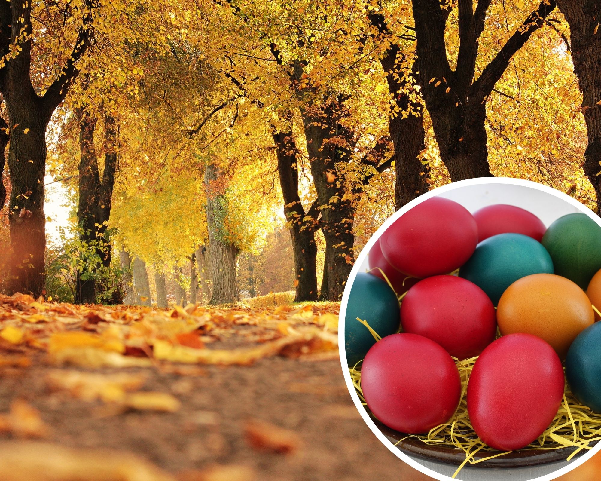 Warum Feiern Wir Ostern Im November Schlager De